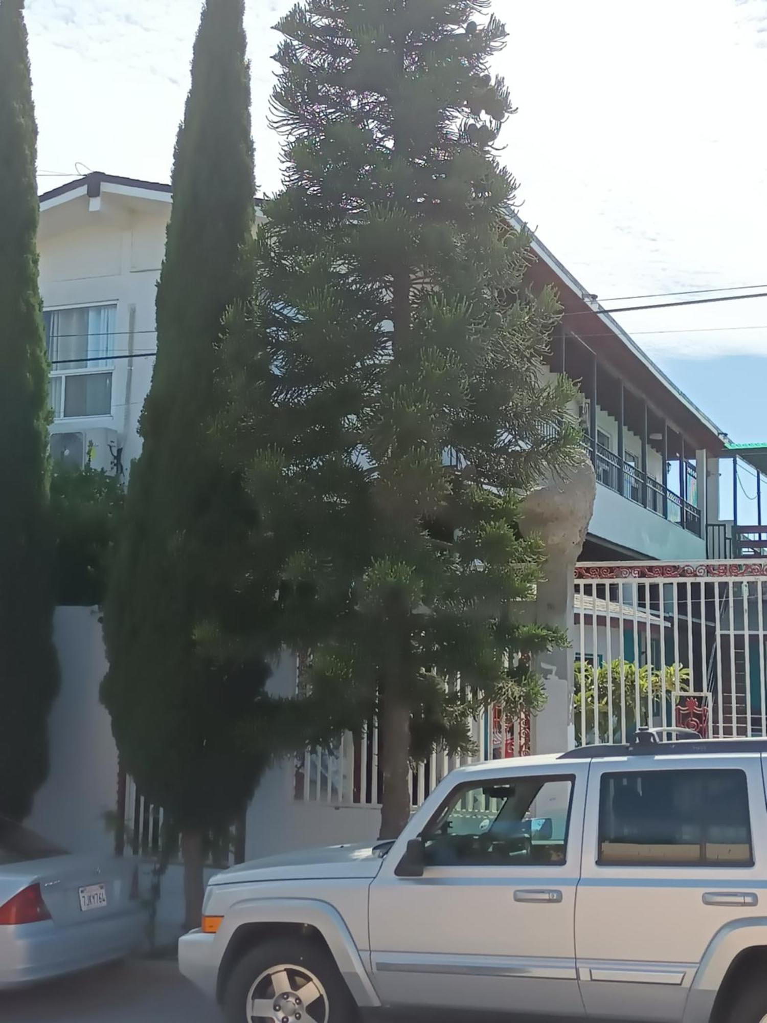 Apartamentos Rosarito.!! Con Vista Al Mar ! المظهر الخارجي الصورة